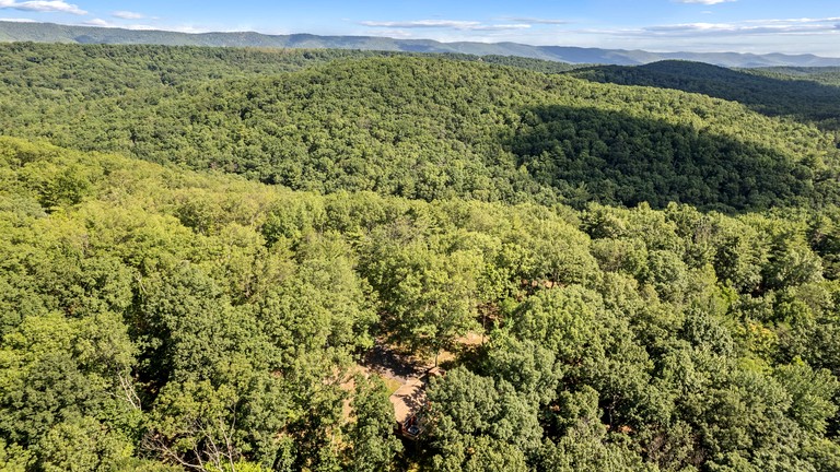 Cabin (United States of America, Mount Jackson, Virginia)