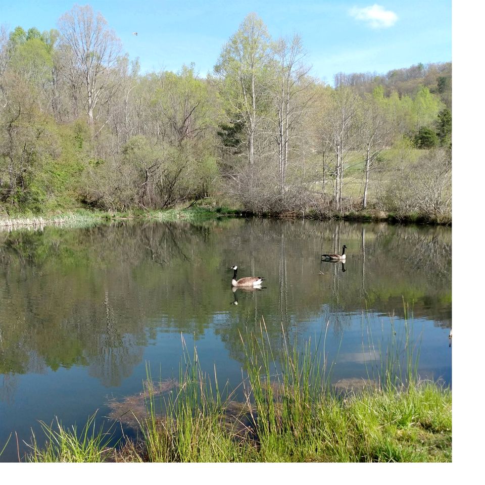 Peaceful Rural Retreat with Fireplace and Private Hot Tub on 20 Acres, near Historic Hendersonville and Asheville, NC