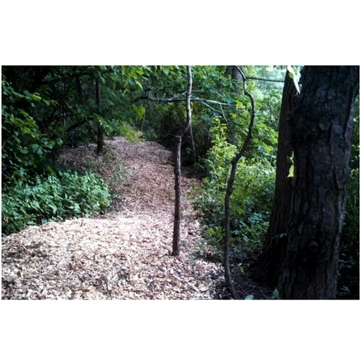 Cabins (United States of America, Hendersonville, North Carolina)