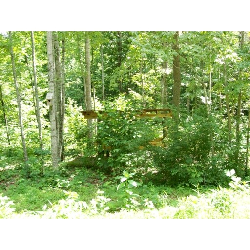 Cabins (United States of America, Hendersonville, North Carolina)