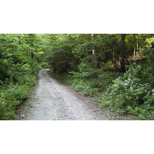 Cabins (United States of America, Hendersonville, North Carolina)