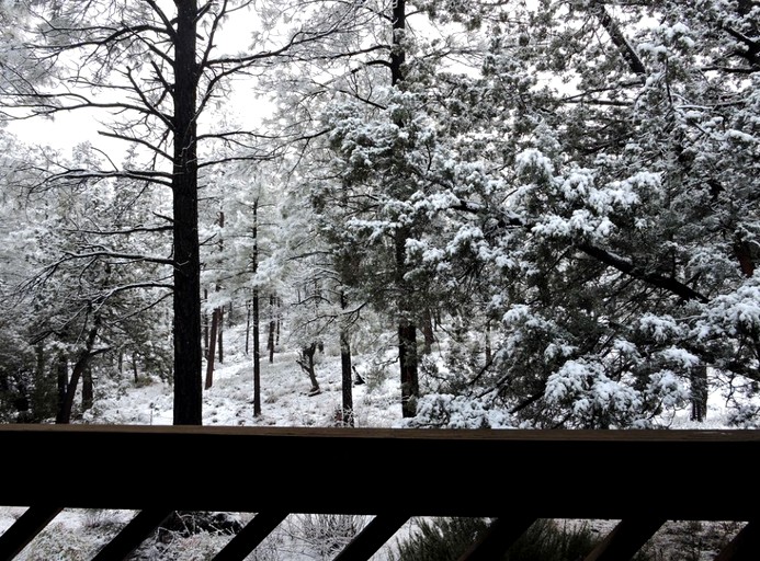 Lovely Vacation Cabin with Enchanting Forest Views in Tonto National Park, Arizona | Cabins (Pine, Arizona, United States of America)