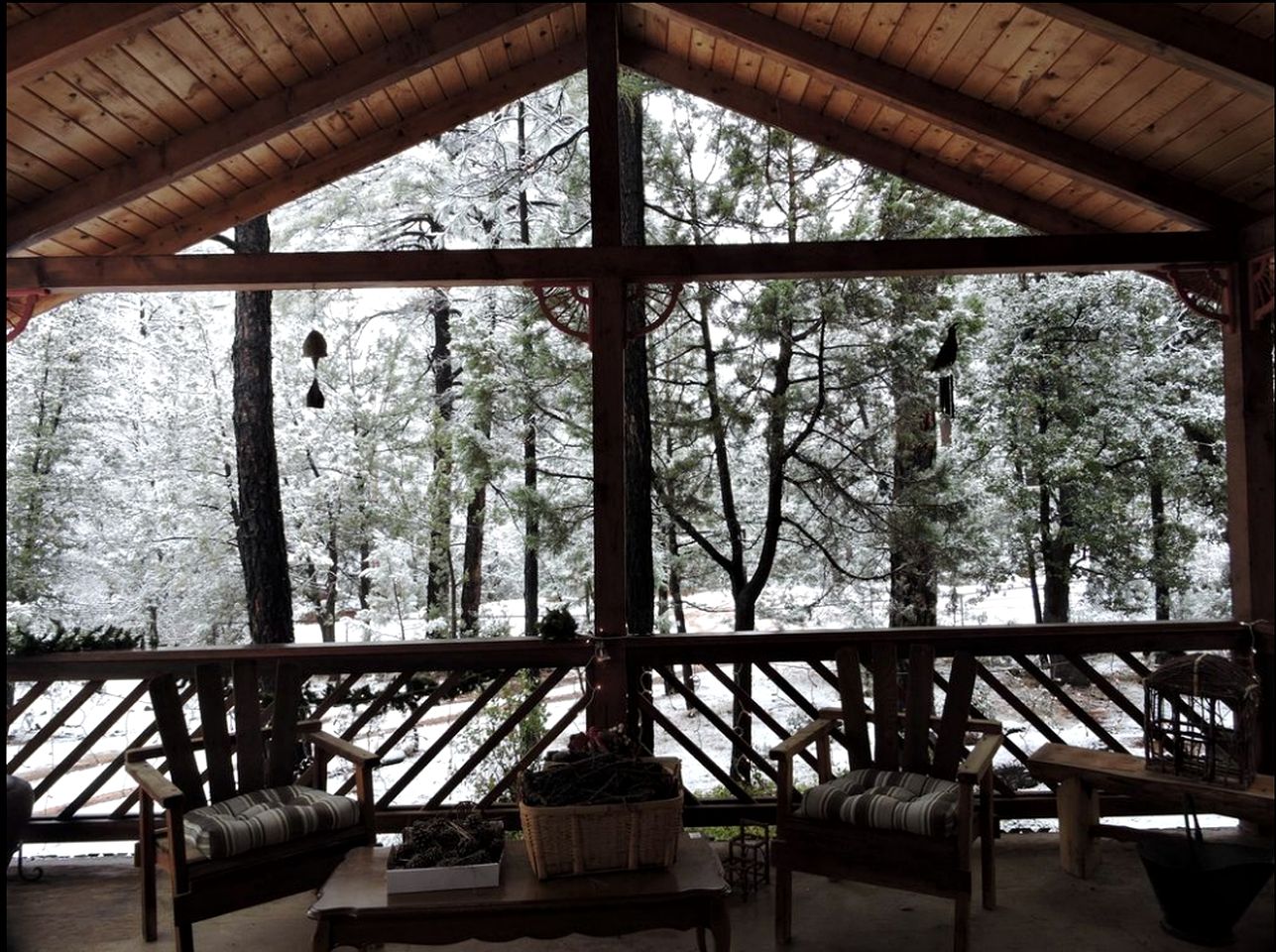Lovely Vacation Cabin with Enchanting Forest Views in Tonto National Park, Arizona