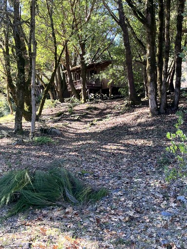 Cabins (United States of America, Orleans, California)