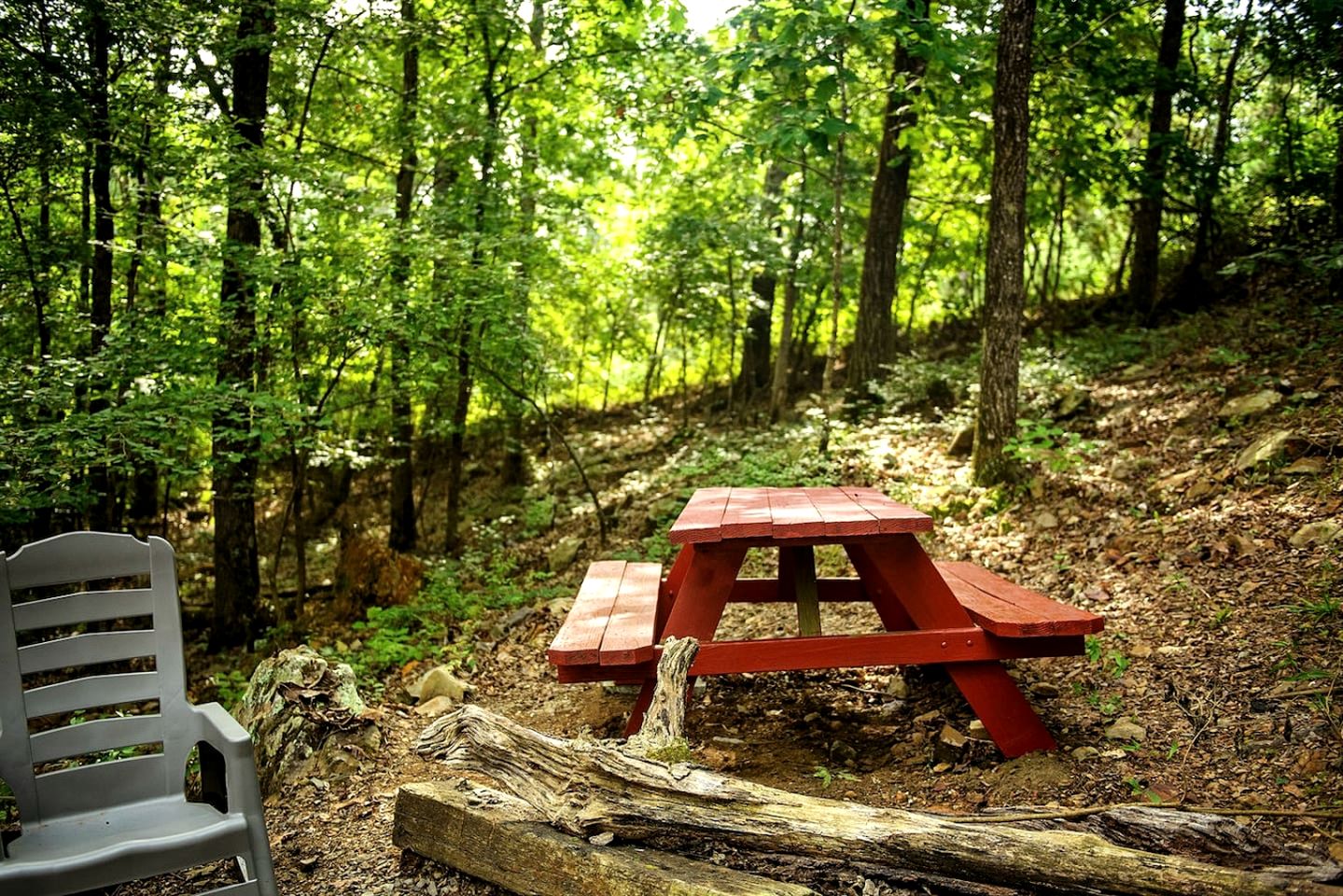 Lovely Cabin Accommodation for a Getaway near Lake Greeson in Murfreesboro, Arkansas