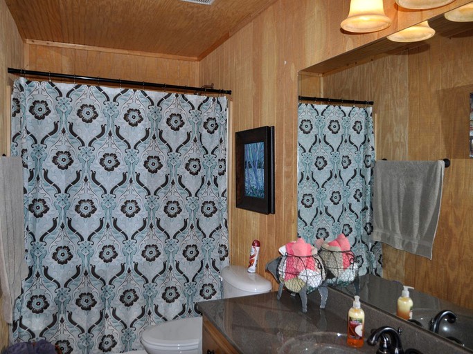 Spacious Cabin Rental in Pine Mountain,