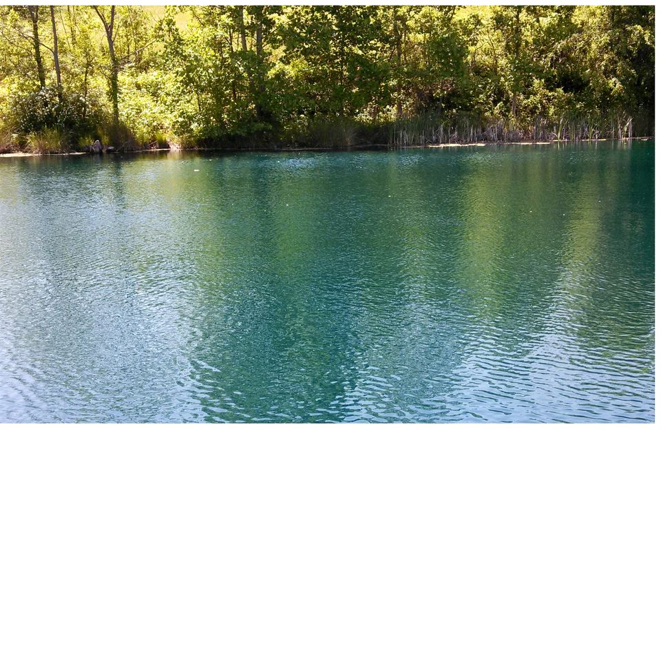 Beautiful Rural Retreat with Fireplace and Private Hot Tub on 20 Acres, near Historic Hendersonville and Asheville, NC