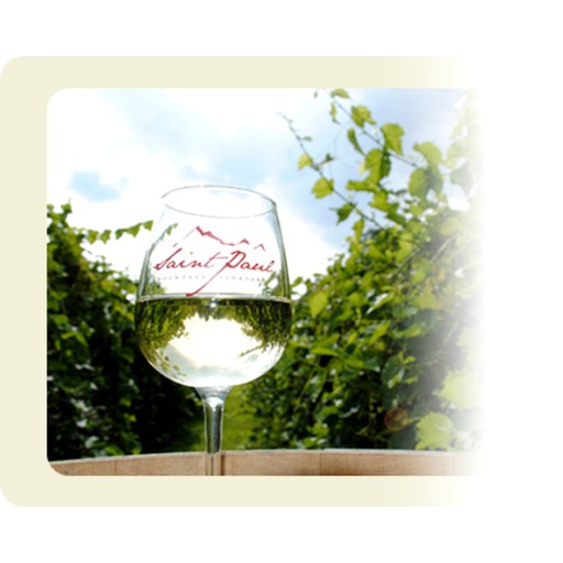 Cabins (United States of America, Hendersonville, North Carolina)