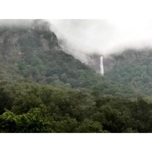 Cabins (United States of America, Hendersonville, North Carolina)