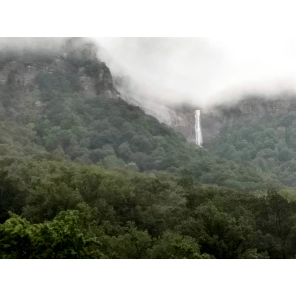 Beautiful Rural Retreat with Fireplace and Private Hot Tub on 20 Acres, near Historic Hendersonville and Asheville, NC