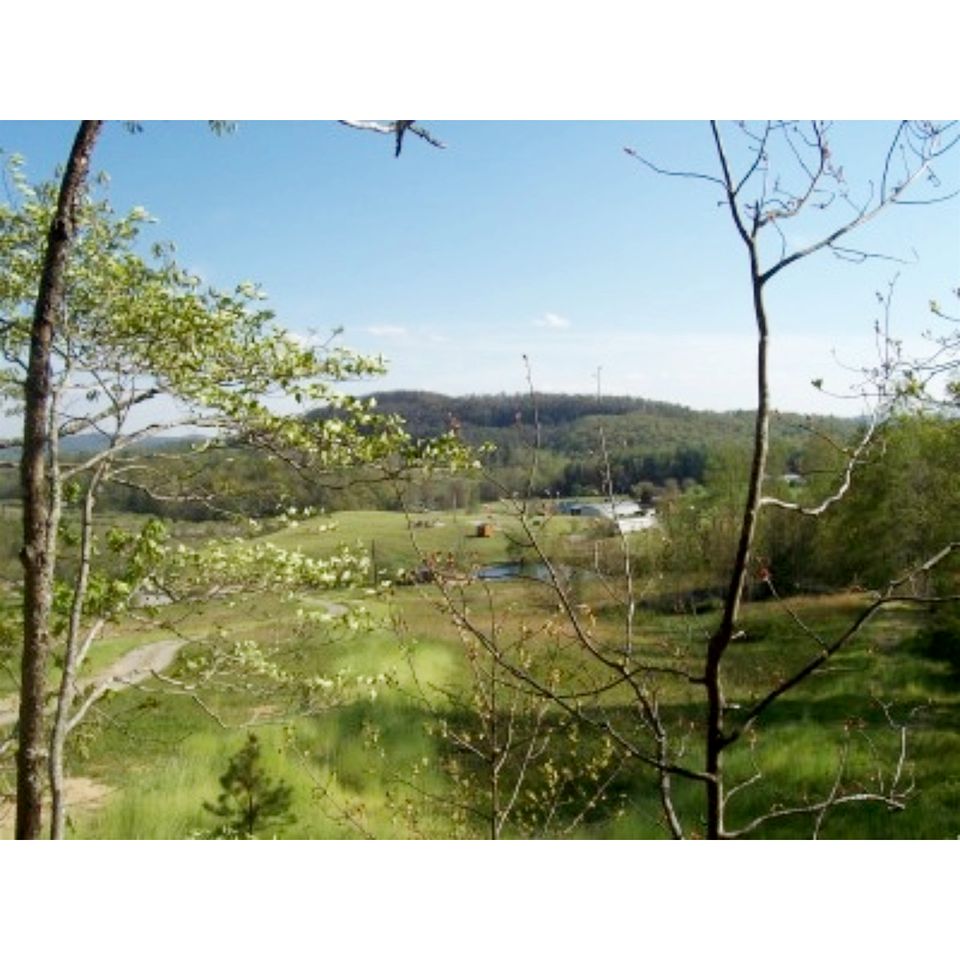 Beautiful Rural Retreat with Fireplace and Private Hot Tub on 20 Acres, near Historic Hendersonville and Asheville, NC