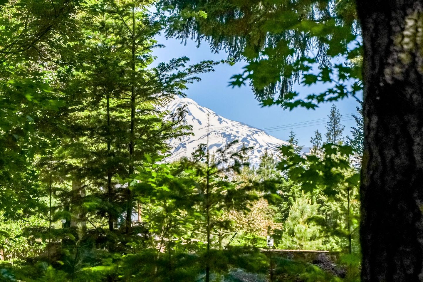 Cozy Cabin Rental with Amazing Hiking and Skiing in the Cascades, Washington