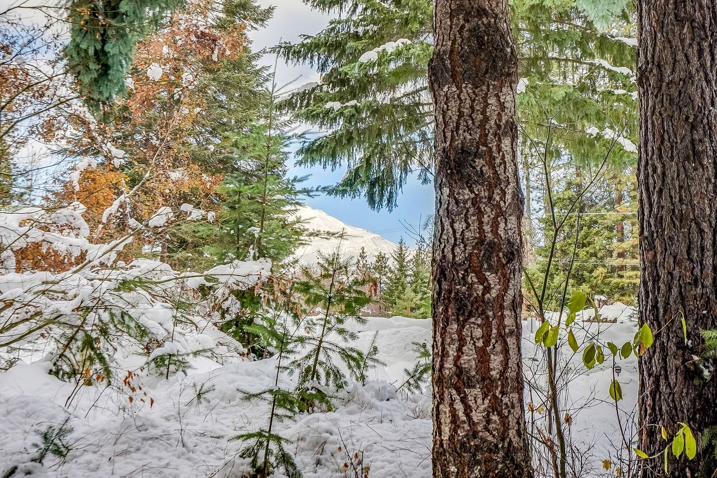 Cozy Cabin Rental with Amazing Hiking and Skiing in the Cascades, Washington