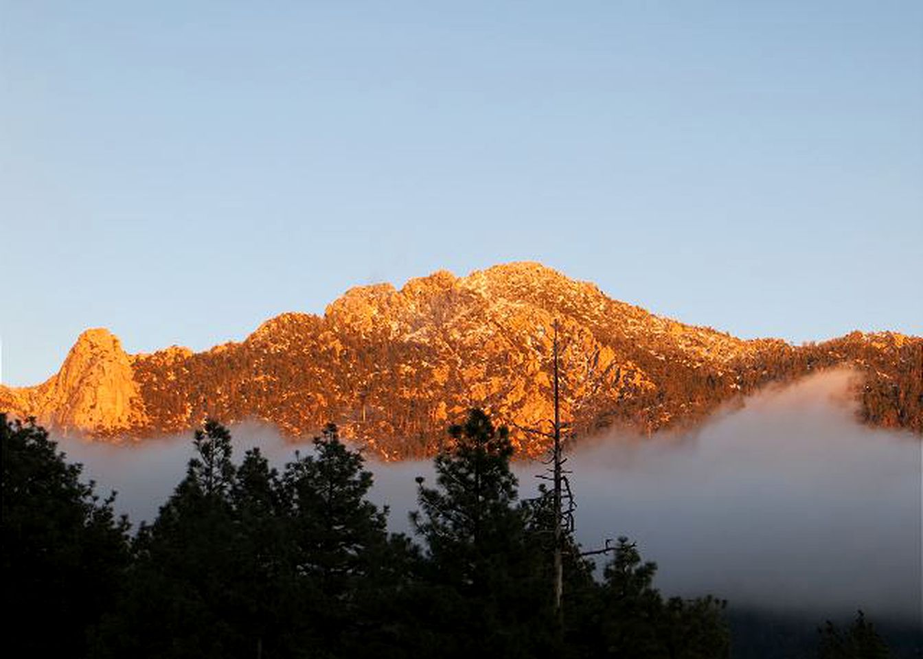 Cabin Rental for Groups in the Mountains of San Jacinto, California