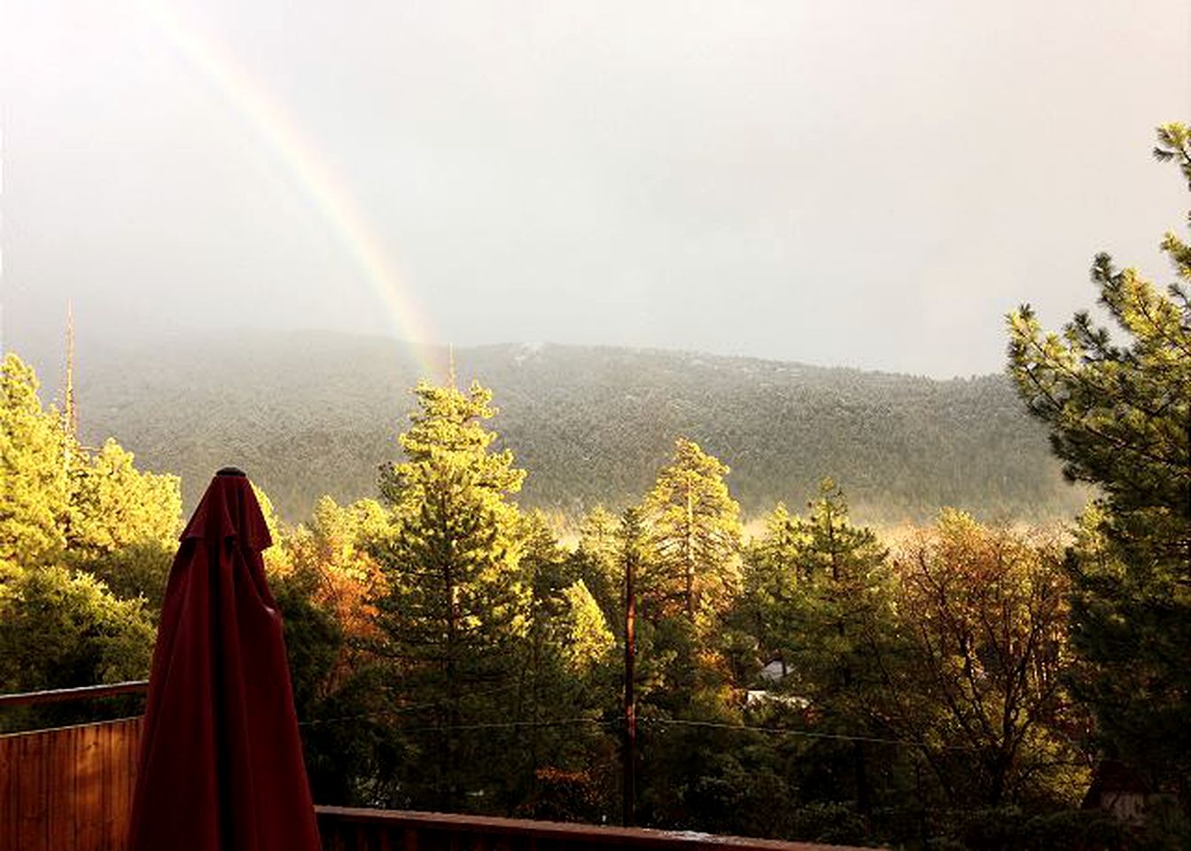 Cabin Rental for Groups in the Mountains of San Jacinto, California