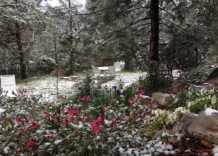 Cabins (Idyllwild, California, United States)