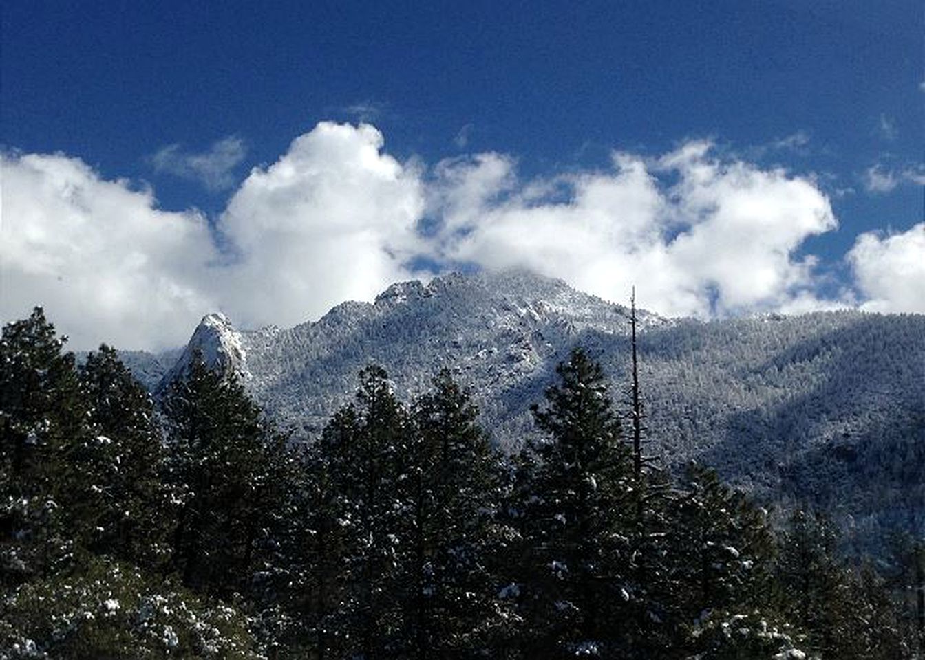 Cabin Rental for Groups in the Mountains of San Jacinto, California