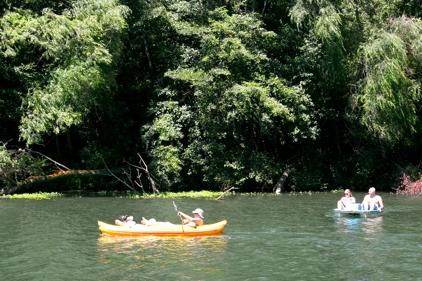 Pet-Friendly Cabin Rental with Hot Tub and Private Dock for Glamping in Northern California