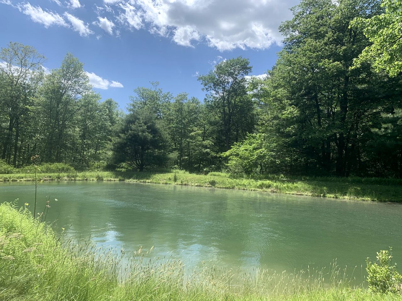 Gorgeous Cottage for Two, Overlooking Pond on 20 acres, Glamping in Pennsylvania