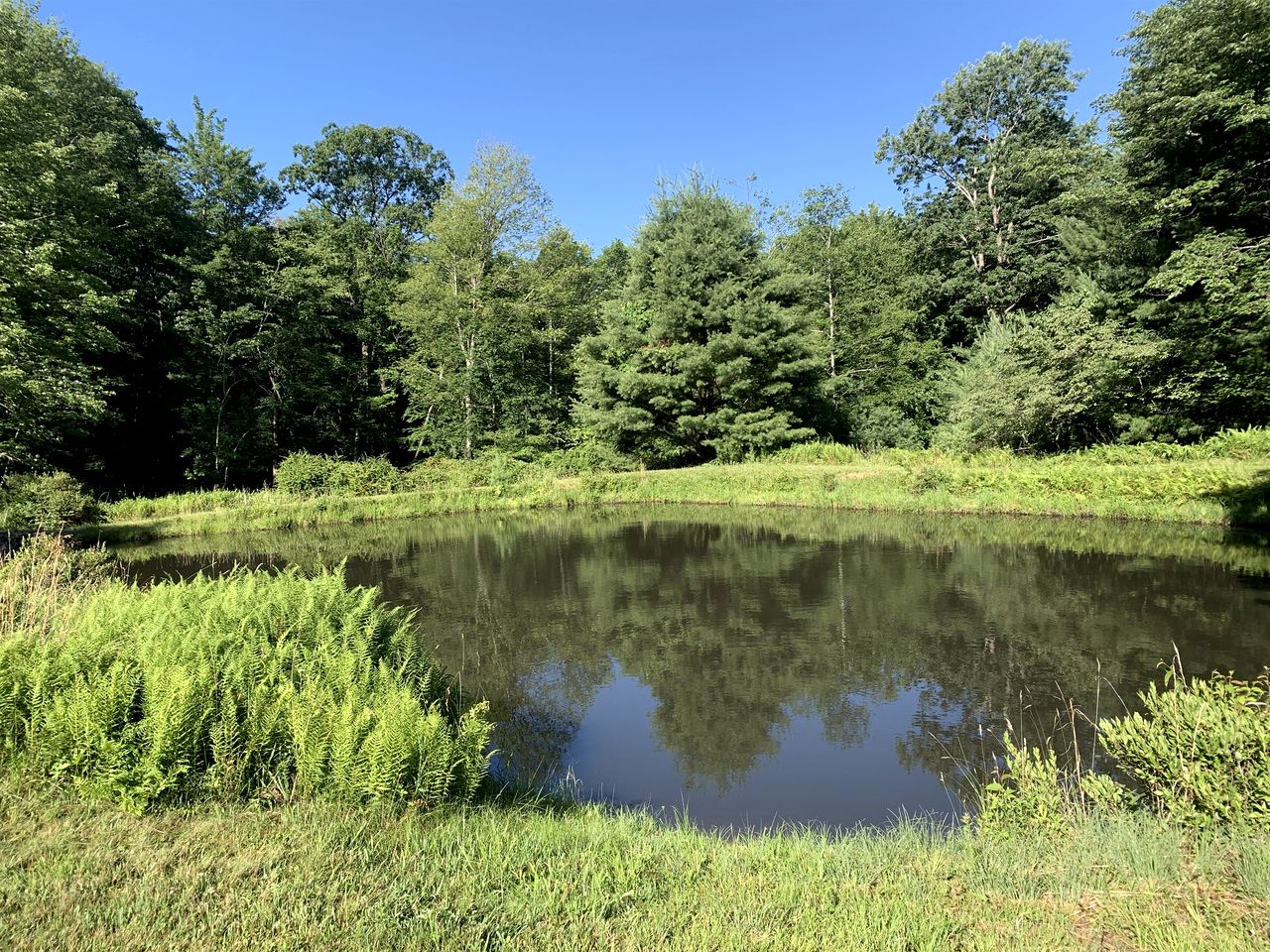 Gorgeous Cottage for Two, Overlooking Pond on 20 acres, Glamping in Pennsylvania