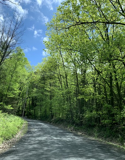 Cabins (United States of America, Spring Mills, Pennsylvania)