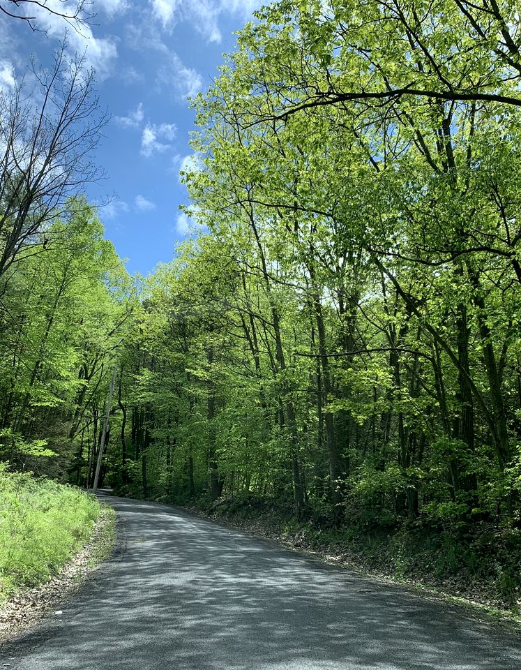 Gorgeous Cottage for Two, Overlooking Pond on 20 acres, Glamping in Pennsylvania