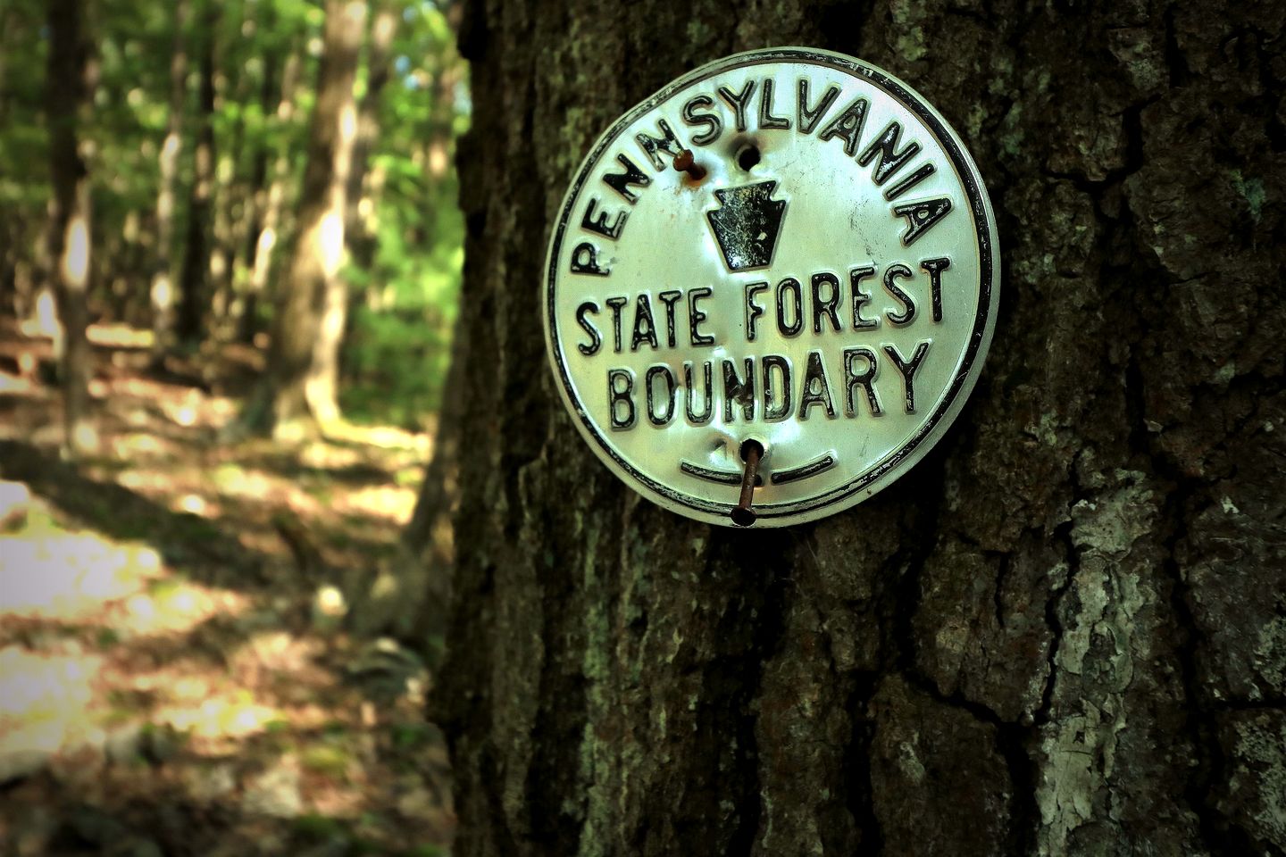 Gorgeous Cottage for Two, Overlooking Pond on 20 acres, Glamping in Pennsylvania
