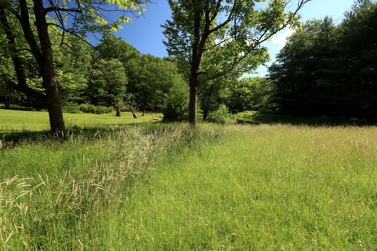 Gorgeous Cottage for Two, Overlooking Pond on 20 acres, Glamping in Pennsylvania