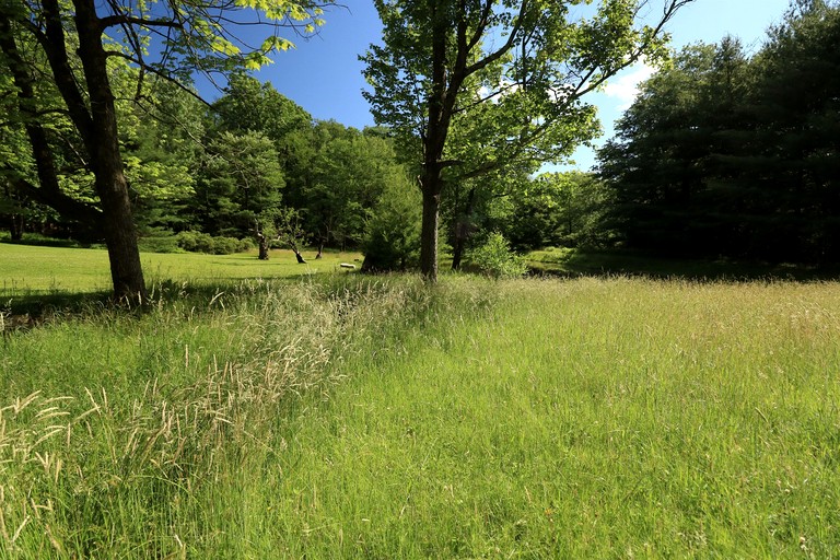 Cabins (United States of America, Spring Mills, Pennsylvania)