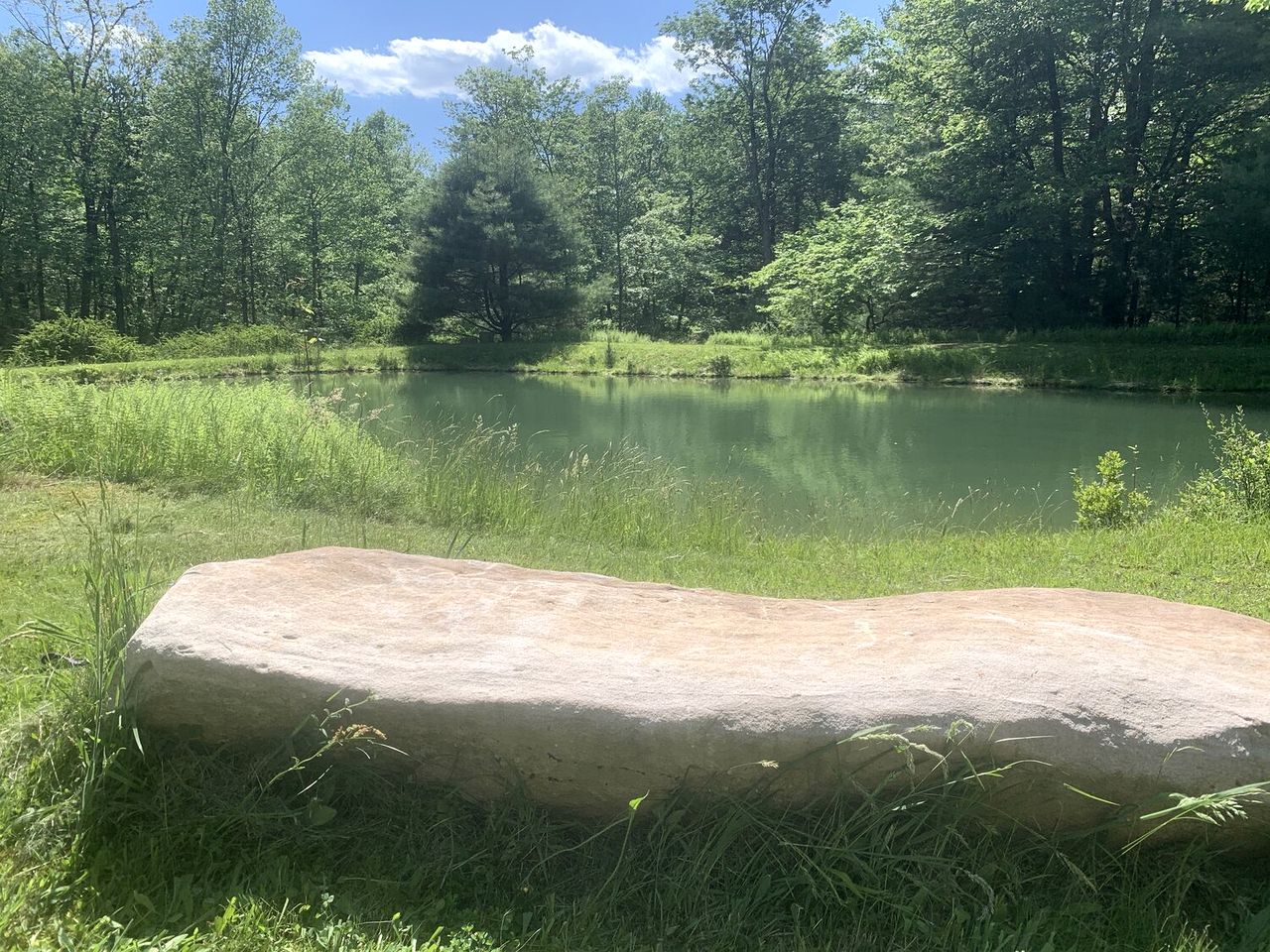 Gorgeous Cottage for Two, Overlooking Pond on 20 acres, Glamping in Pennsylvania