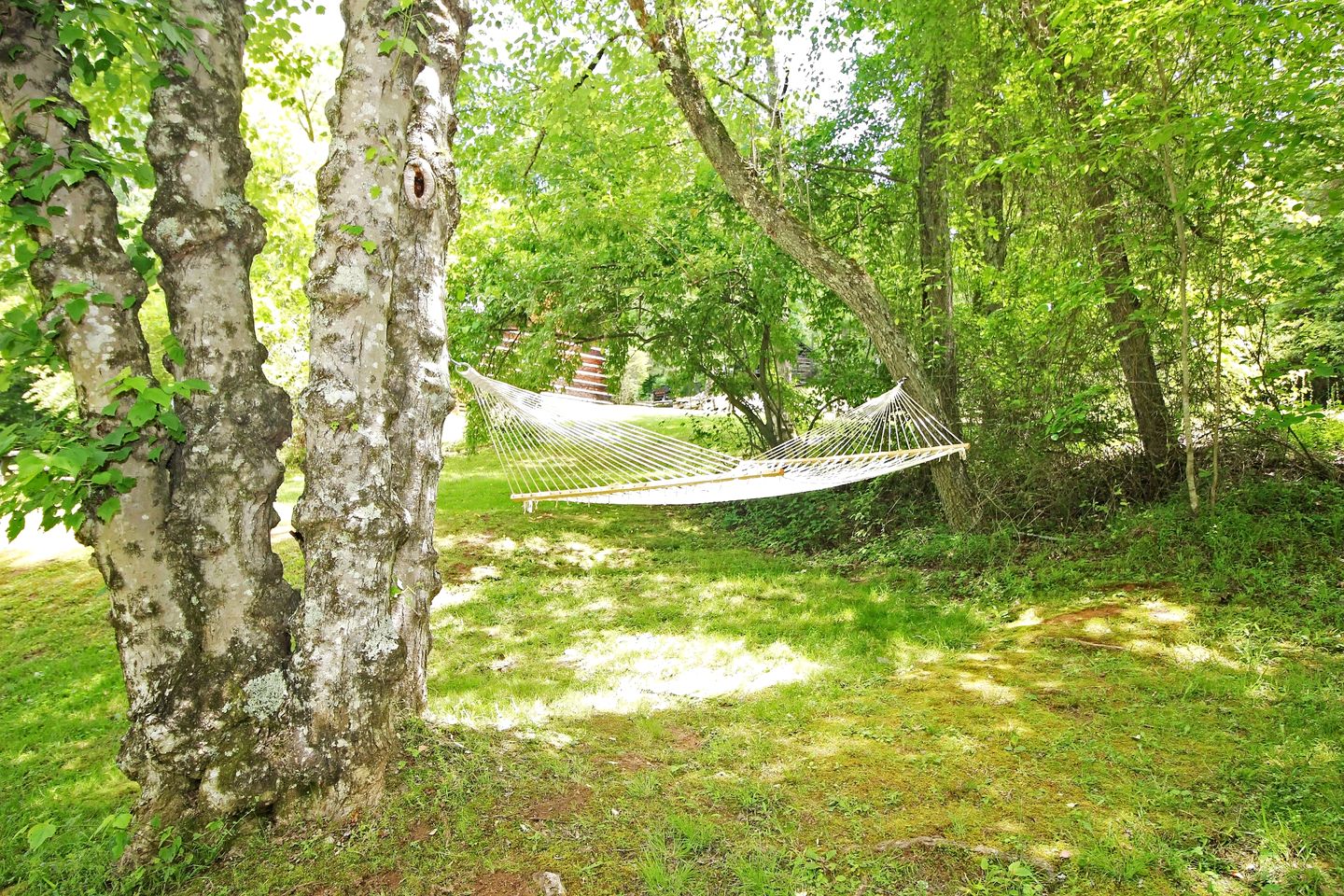 Snug and Cozy Cabin Rental with a Hot Tub near Copperhill for a Relaxing Vacation in Tennessee