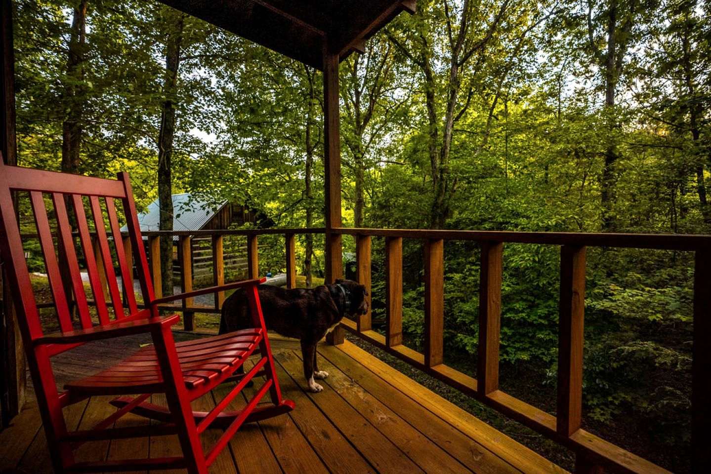 Snug and Cozy Cabin Rental with a Hot Tub near Copperhill for a Relaxing Vacation in Tennessee