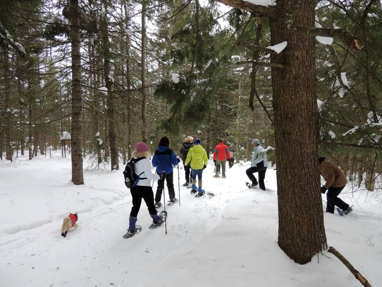 Rustic Camping Cabin with Fireplace in Private Woods near Bangor, Maine