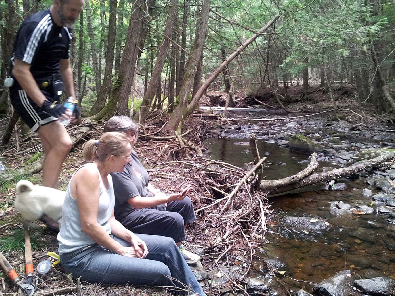 Rustic Camping Cabin with Fireplace in Private Woods near Bangor, Maine
