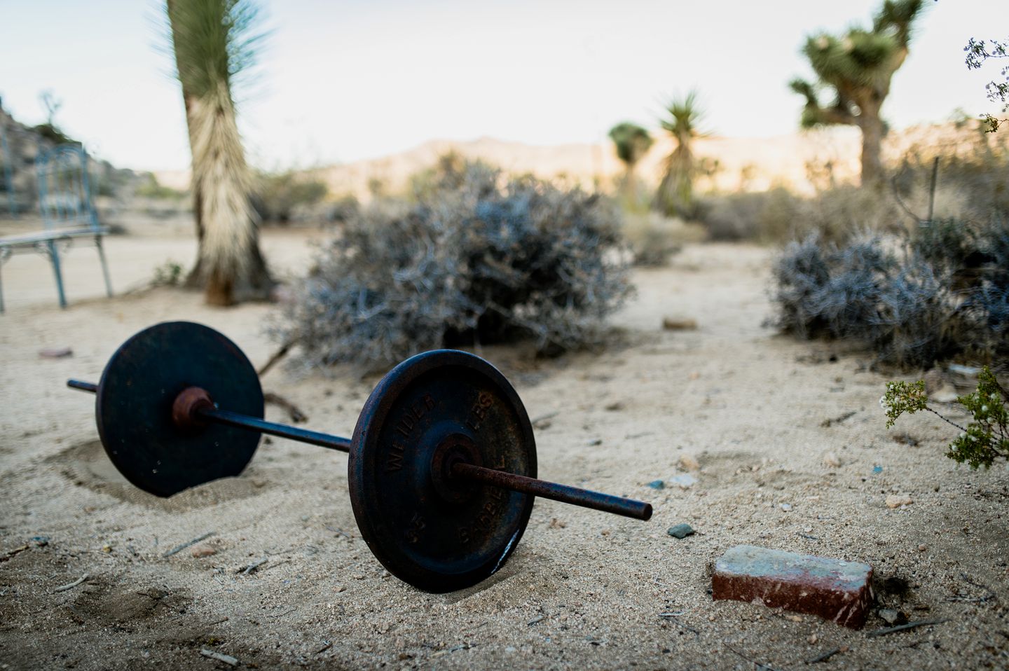 Cabin Rentals Mojave Desert Vacation Rental near Joshua Tree