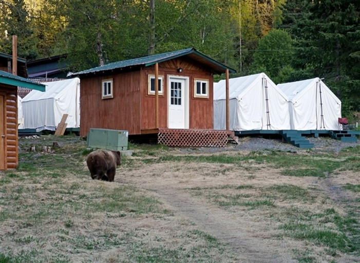 Cabins (United States of America, Cooper Landing, Alaska)