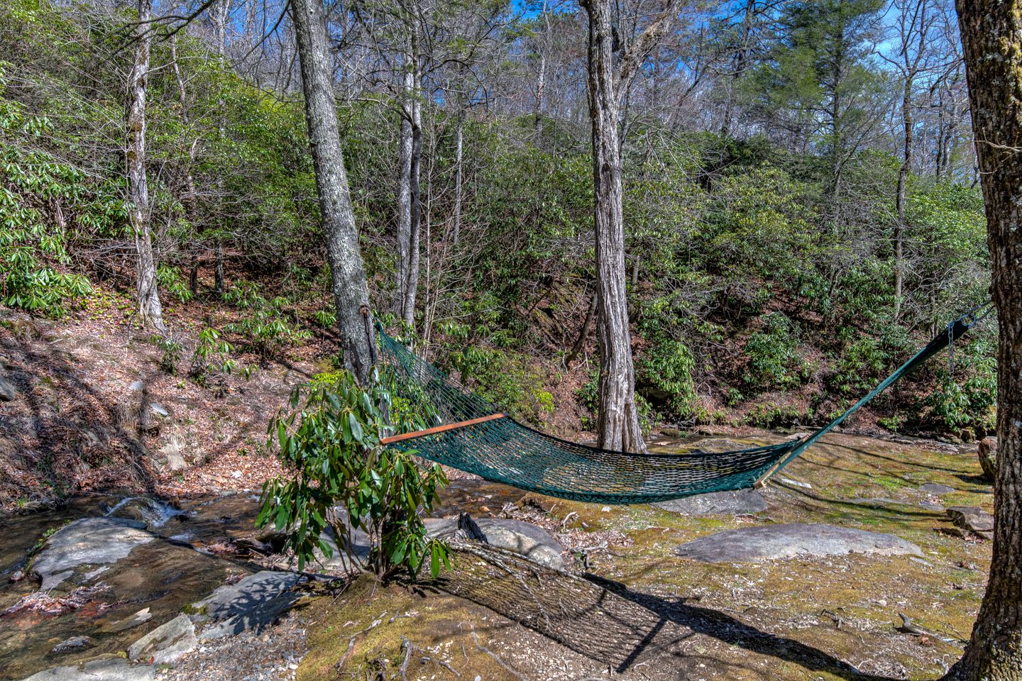 Secluded Creekside Cabin Rental near Mt. Mitchell in Western North Carolina