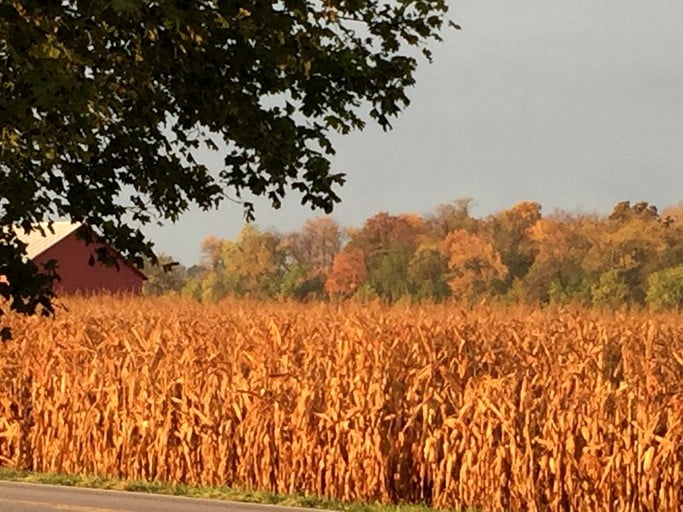 Cabins (Bellevue, Ohio, United States)