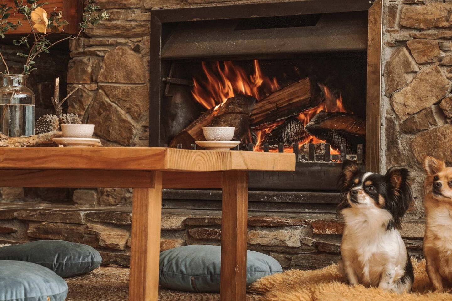 Comfortable Cabin Rental for a Queenstown Holiday in New Zealand