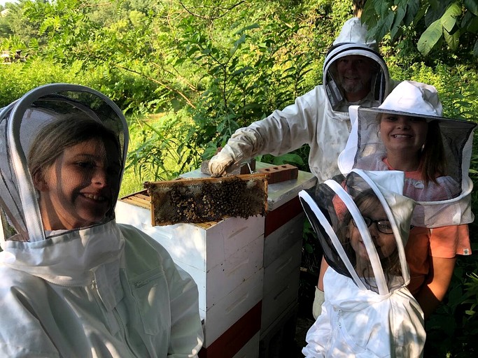 Cabins (United States of America, Mount Sterling, Kentucky)