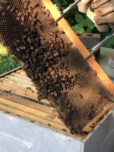 Cabins (United States of America, Mount Sterling, Kentucky)