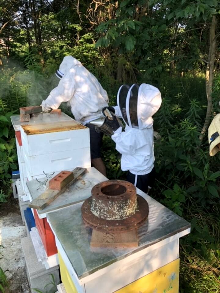 Tranquil Cabin Rental in the Countryside for a Weekend Getaway in Kentucky