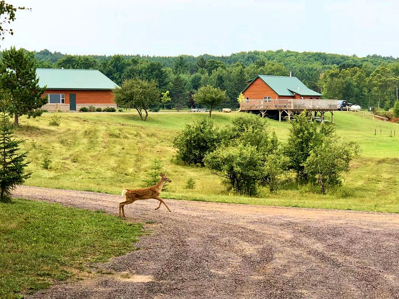 Cabin Rental near Atlantic Mine, Michigan