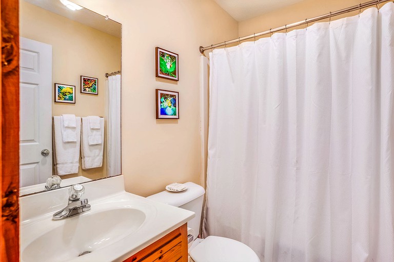 Cabins (United States of America, Love, Virginia)