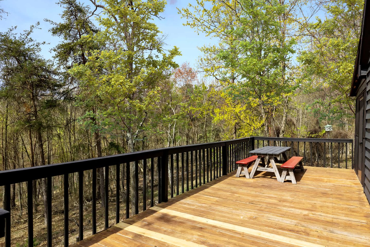 Vibrant Woodland Cabin Sanctuary near Great Cacapon River in West Virginia