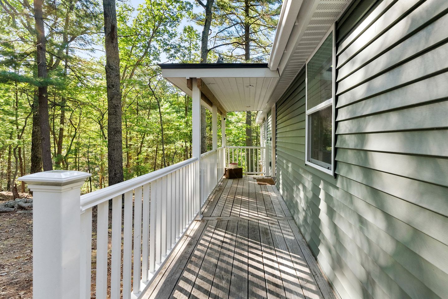 Cozy Modern Cabin with Fire Pit & Trail Access near Berkeley Springs, West Virginia