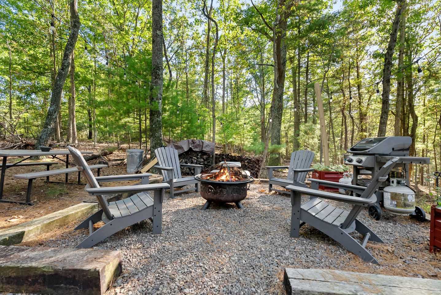 Cozy Modern Cabin with Fire Pit & Trail Access near Berkeley Springs, West Virginia