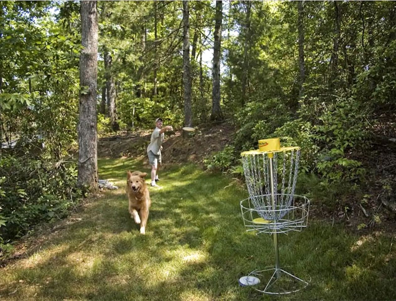 Romantic Riverfront Cabin with Pool Access in Blue Ridge, Georgia