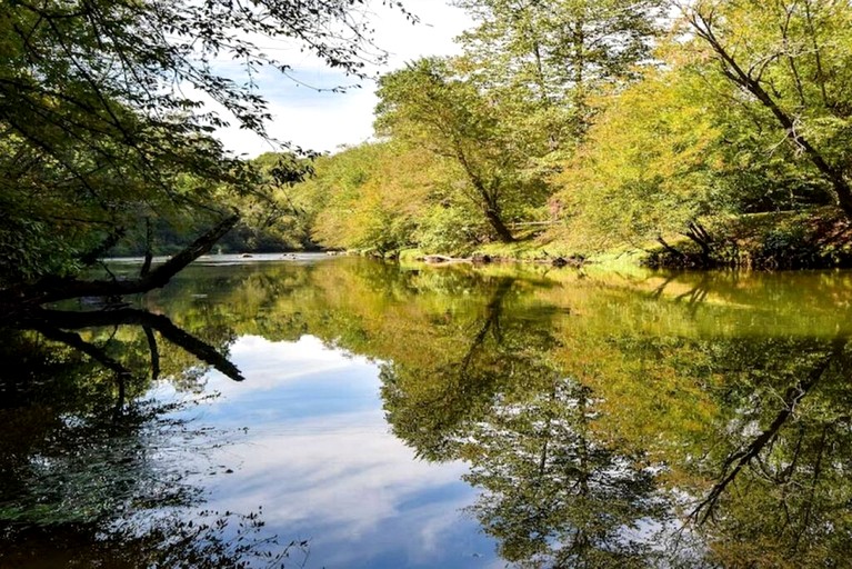 Cabins (United States of America, Blue Ridge, Georgia)