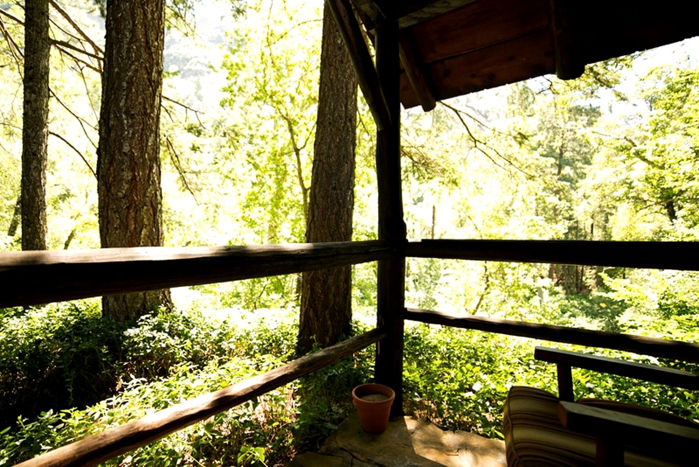 Charming Cabin Rental in Blossoming Garden in Sedona near Red Rock Canyon